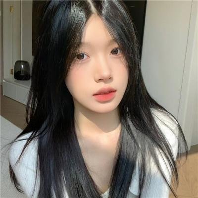 金式森林粤语